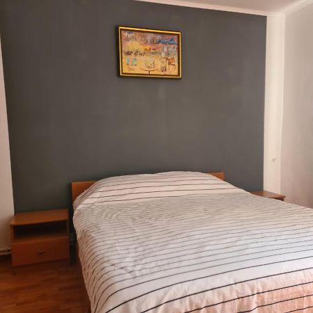 Mall Zone 100Mp Apartments Bacău Екстериор снимка