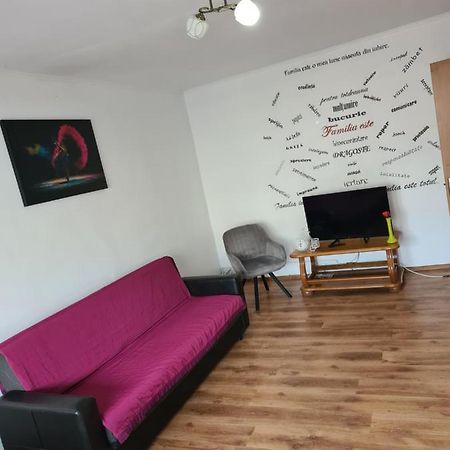 Mall Zone 100Mp Apartments Bacău Екстериор снимка