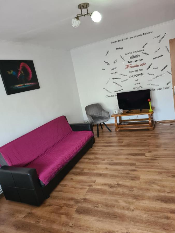 Mall Zone 100Mp Apartments Bacău Екстериор снимка