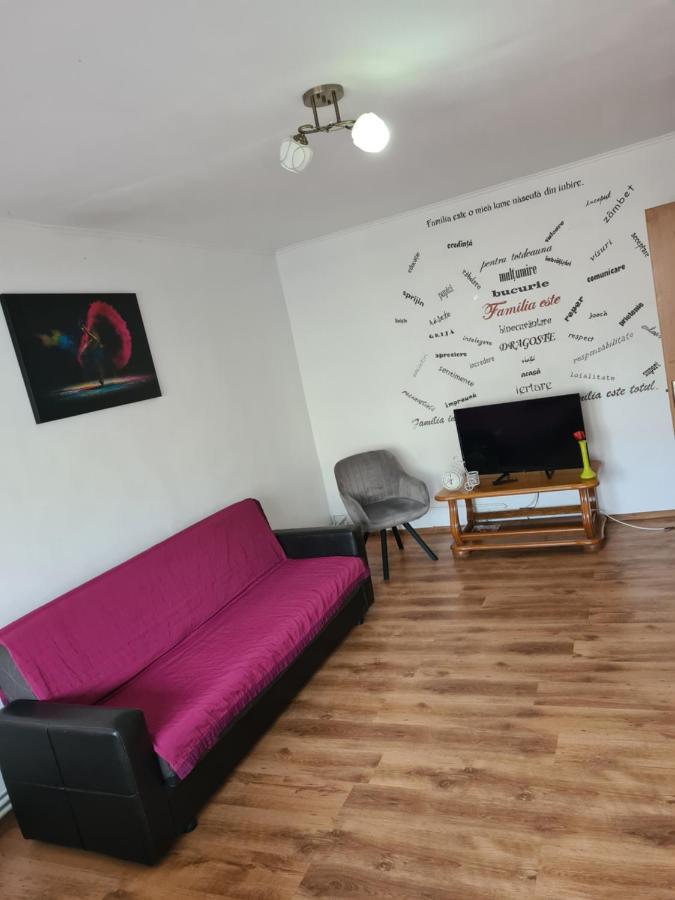 Mall Zone 100Mp Apartments Bacău Екстериор снимка