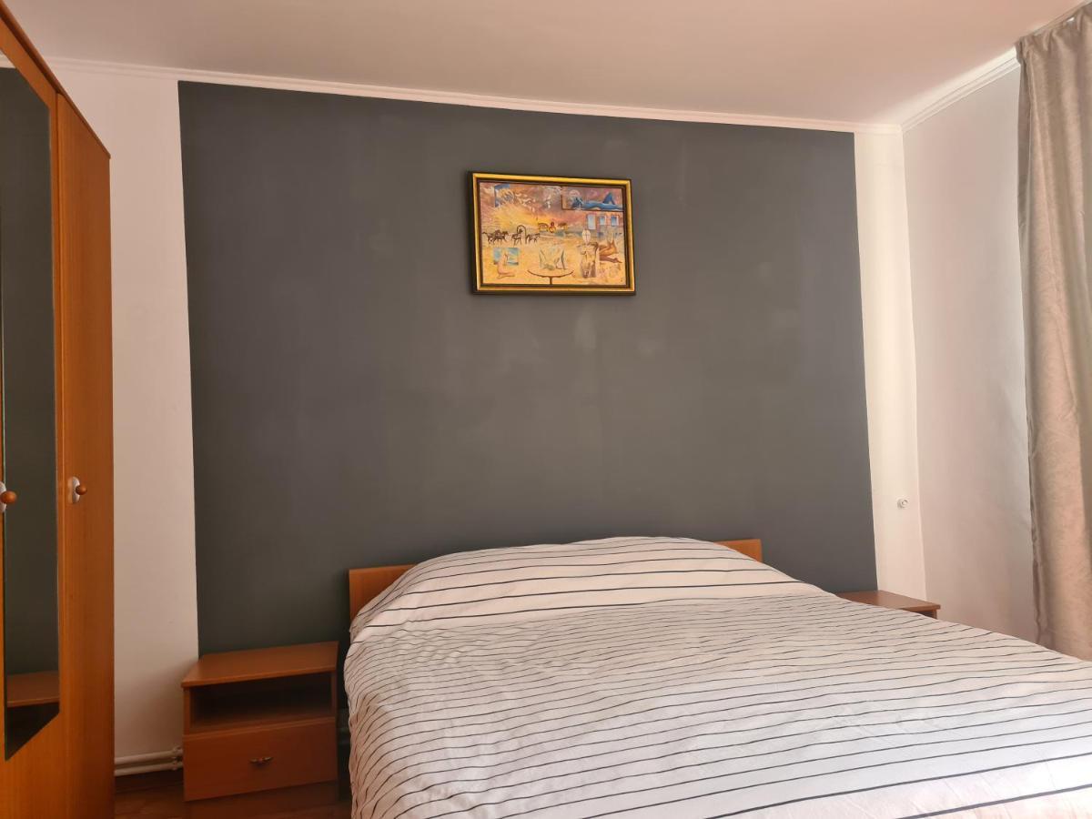 Mall Zone 100Mp Apartments Bacău Екстериор снимка